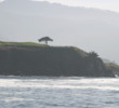 The fairways on Pebble Beach Golf Links' most dramatic seaside holes have been shifted toward the cliffs along the beach.