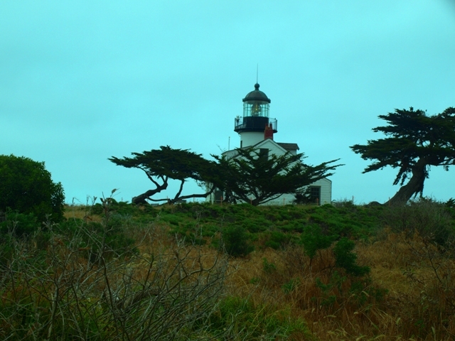 Pacific Grove Golf Links - Point Pinos Lighthouse