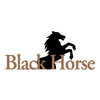 BlackHorse at Bayonet/Black Horse Golf Course - Public Logo