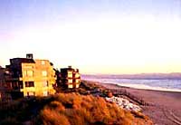 Dunes at Monterey Peninsula