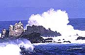 Pacific Grove
