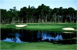 Poppy Hills