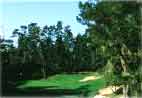 Robert Trent Jones