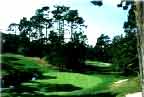 Spyglass Hill