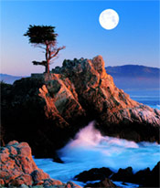 Historic Jaunt to Pebble Beach