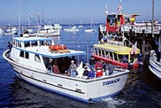 Monterey Fisherman's Wharf
