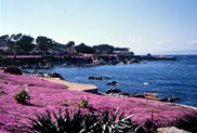 Monterey Pacific Grove