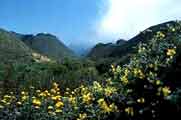 Monterey Carmel Valley 