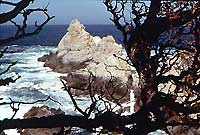 Monterey County Cities & Region