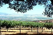 Monterey South County